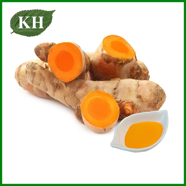 Organic Turmeric Extract